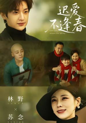 迟爱不逢春短剧（62集都市情感短剧高清全集在线观看）