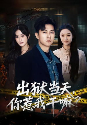 出狱当天，你惹我干嘛？短剧（62集复仇短剧高清无删减全集看）