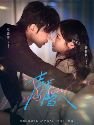 声声陷入短剧（73集都市爱情短剧在线观看无广告）