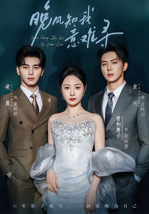 晚风知我意难寻短剧（60集都市情感短剧全集免费看）