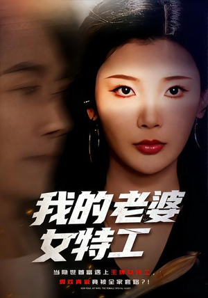 我的老婆女特工短剧（62集动作冒险短剧在线看全集畅享）