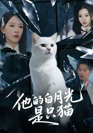 他的白月光是只猫短剧（69集奇幻短剧在线观看无广告）