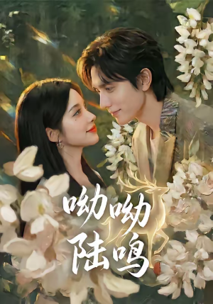 呦呦陆鸣短剧（67集家庭短剧在线看全集无广告）