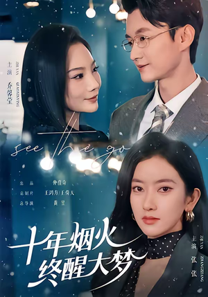十年烟火，终醒大梦短剧（60集都市励志短剧免费看全集）