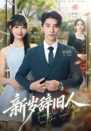 新岁辞旧人短剧（76集都市情感短剧免费看全集）