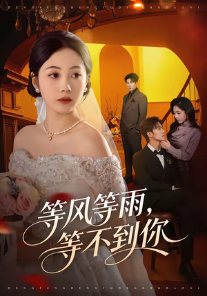 等风等雨，等不到你短剧（65集爱情短剧高清免费看全集）