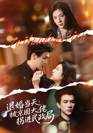 退婚当天：被京圈大佬拐进民政局短剧（80集都市情感短剧在线看全集）