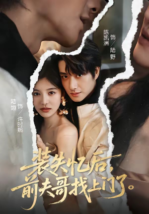 装失忆后，前夫哥找上门了短剧（60集情感大剧超清免费在线看）