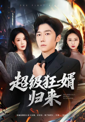 超级狂婿归来短剧（81集都市情感短剧在线看全集）