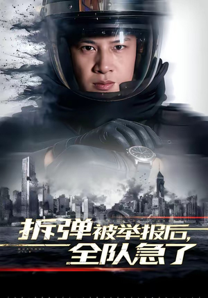 拆弹被举报后，全队急了短剧（50集警匪短剧在线观看无广告）