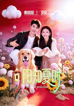 向阳知夏时短剧（80集治愈短剧全集在线看个够）