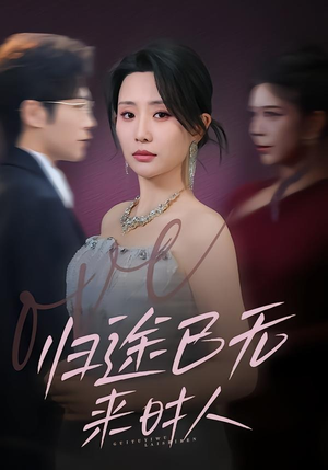 归途已无来时人短剧（70集都市情感短剧全集畅快看）