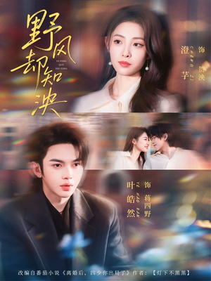 野风却知泱短剧（80集现代短剧免费观看完整版）