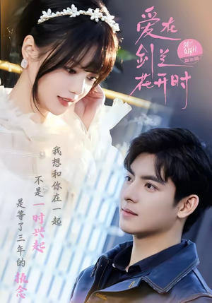 爱在剑兰花开时短剧（56集纯爱短剧免费在线看全集）