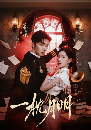 一枕月明短剧（65集爱情短剧完整版在线观看）