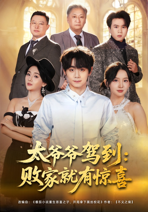 太爷爷驾到：败家就有惊喜短剧（80集奇幻短剧高清在线看全集）