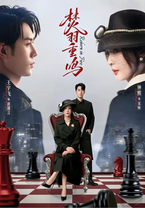 焚羽重鸣短剧（60集仙侠短剧全集高清在线播放）