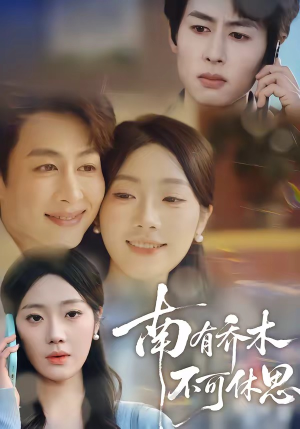 南有乔木，不可休思短剧（68集爱情题材短剧免费看全集）