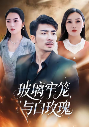 玻璃牢笼与白玫瑰短剧（75集浪漫短剧全集免费在线看）