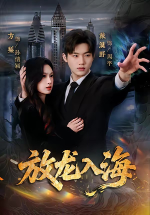 放龙入海短剧（62集奇幻短剧完整版免费观看）