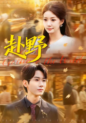 赴野短剧（40集友情短剧完整版在线观看）