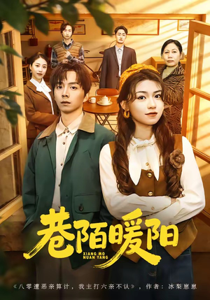 巷陌暖阳短剧（80集温情短剧在线观看无广告）