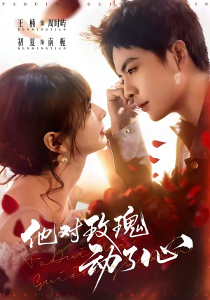 他对玫瑰动了心短剧（68集情感短剧完整版在线免费看）