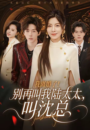 我离婚了！别再叫我陆太太，叫沈总短剧（74集都市情感短剧在线畅看）