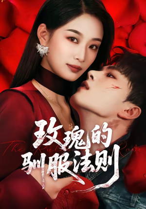 玫瑰的驯服法则短剧（65集都市情感短剧高清在线观看全集）