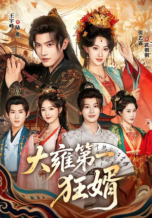 大雍第一狂婿短剧（90集古装短剧高清全集在线看）