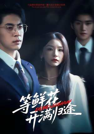 等鲜花开满归途短剧（61集温情短剧在线观看无广告）