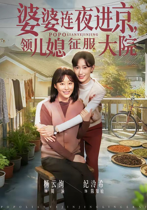 婆婆连夜进京，领儿媳征服大院短剧（78集家庭情感短剧全集免费看）