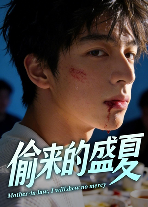 偷来的盛夏短剧（40集都市纯爱短剧高清全集免费观）