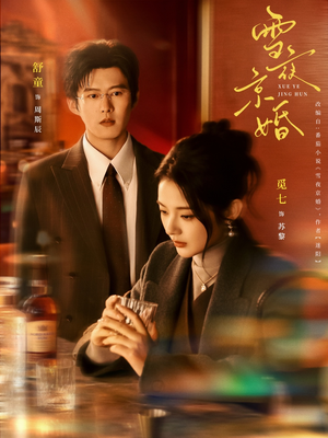 雪夜京婚短剧（84集都市情感短剧在线免费看全集）