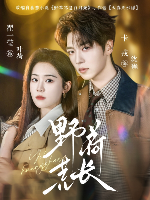 野荷荒长短剧（86集乡村情感短剧全集免费观看）