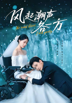 风起潮声各一方短剧（84集爱情题材短剧在线看无广告）