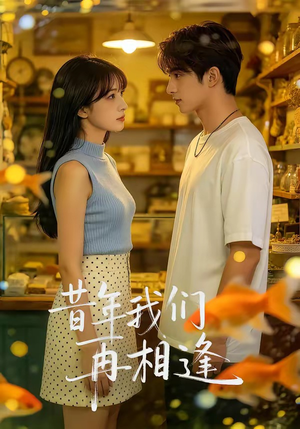 昔年我们再相逢短剧（40集温情短剧完整版在线观看）