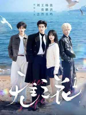 无主之花1短剧（72集古装短剧高清全集免费看）