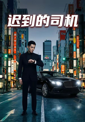 迟到的司机短剧（31集情感短剧完整版在线观看）
