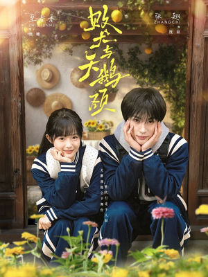 败犬与天鹅颈短剧（71集现代都市短剧精彩全集在线看）