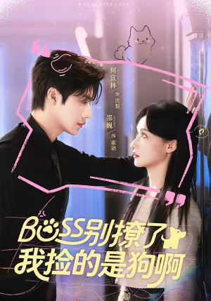 Boss别撩了，我捡的是狗呀短剧（65集甜蜜短剧免费看完整版）