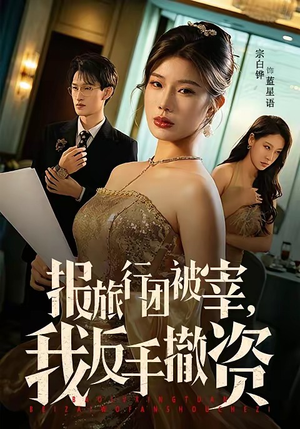 报旅行团被宰，我反手撤资短剧（59集都市讽刺短剧全集免费在线看）