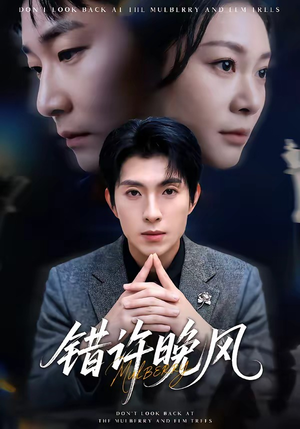 错许晚风短剧（60集浪漫短剧高清在线免费追）
