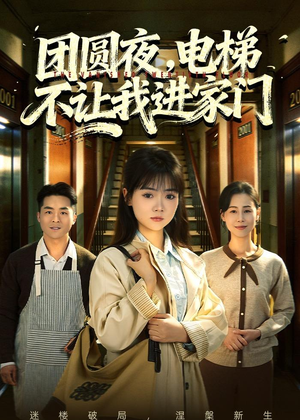 团圆夜，电梯不让我进家门短剧（52集家庭短剧在线观看全集）
