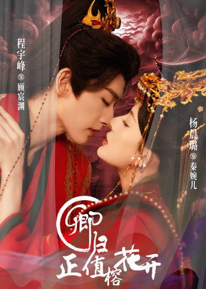 卿归正值榕花开短剧（70集古风短剧免费全集观看）