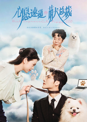心愿速递之萌犬总裁短剧（50集奇幻甜宠短剧免费看全集）