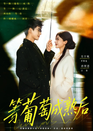 等葡萄成熟后短剧（82集爱情短剧全集高清观看）