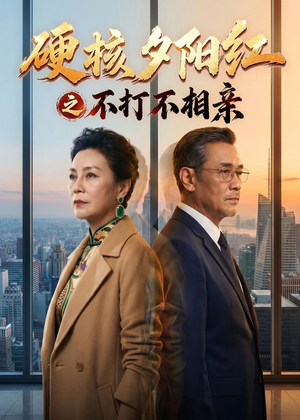 硬核夕阳红之不打不相亲短剧（30集温馨短剧高清在线看全集）