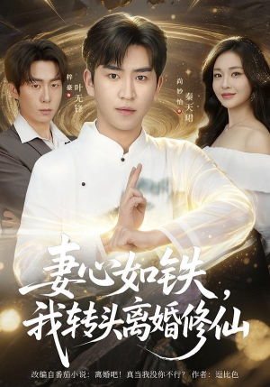妻心如铁我转头离婚修仙短剧（81集修仙短剧全集高清在线看）