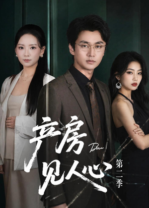 产房见人心第二季短剧（75集家庭伦理短剧免费看完整版）